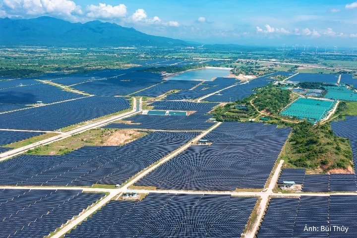 Dự án điện mặt trời Thuận Nam của Trung Nam.