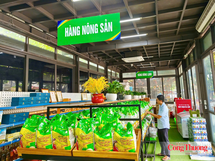 Không gian trưng bày các sản phẩm OCOP chuẩn bị cho khách tham quan mua sắm.