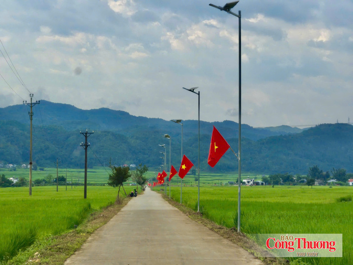 Cờ đỏ rực rỡ trên cánh đồng Mường Than đón chào du khách tới Than Uyên trải nghiệm các phong tục văn hóa đặc sắc.