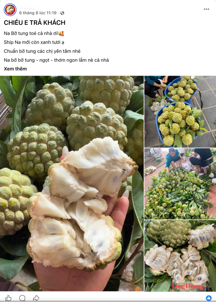 Na được bán trên các nhóm chợ online. Ảnh chụp màn hình