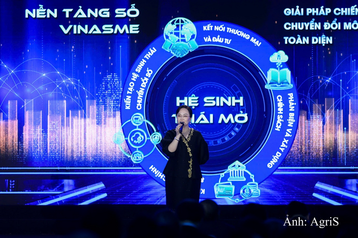 Bà Đặng Huỳnh Ức My - Phó Chủ tịch Hiệp hội Doanh nghiệp nhỏ và vừa, Chủ tịch AgriS, giới thiệu về nền tảng số VINASME.