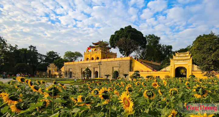 Hoàng thành Thăng Long là quần thể di tích gắn với lịch sử kinh thành Thăng Long Hà Nội.