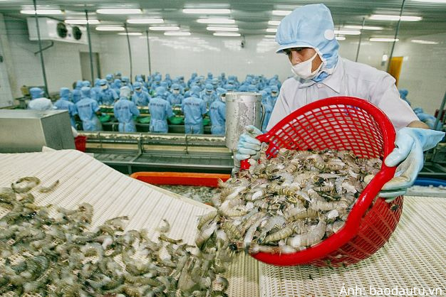 Tôm đông lạnh là mặt hàng xuất khẩu lớn nhất của Việt Nam sang thị trường Na Uy, chiếm 58,9% về lượng và chiếm 58,36% về giá trị, với lượng xuất khẩu đạt 735,3 tấn.