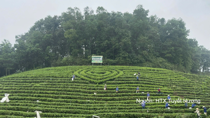 Phát triển du lịch gắn với sản xuất và tiêu dùng sản phẩm OCOP mang lại lợi ích kép.