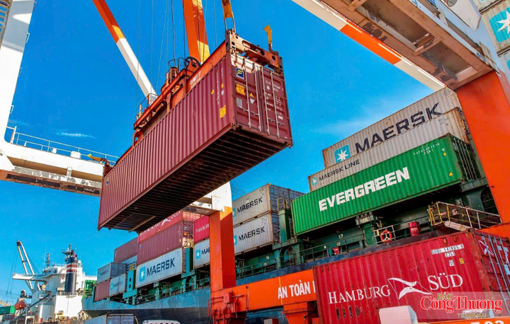 Hàng hoá cập bến tại Cảng Quy Nhơn.