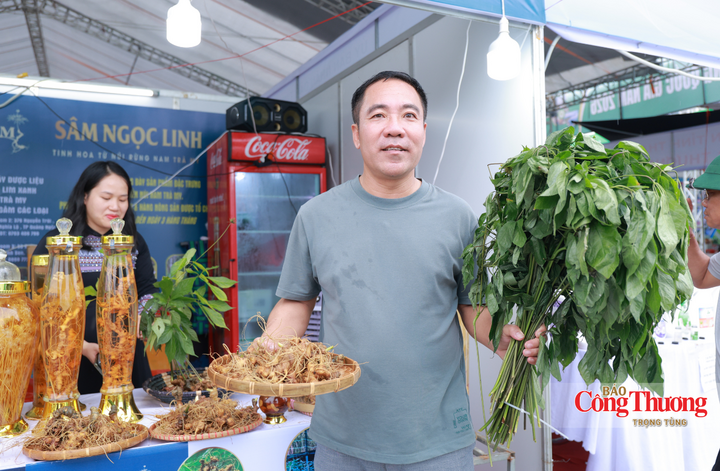 Ông Nguyễn Mạnh Hùng (trú phường Thành Sen, Hà Tĩnh) chia sẻ, tôi biết sâm Ngọc Linh có giá trị dinh dưỡng rất cao nhưng trước đây chủ yếu phải đặt mua qua mạng, đôi khi e ngại về nguồn gốc.