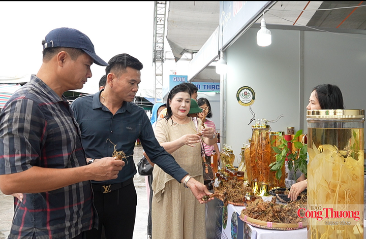 Doanh nghiệp sâm Ngọc Linh thu về hơn 600 triệu đồng tại hội chợ miền Trung - Tây Nguyên - 1