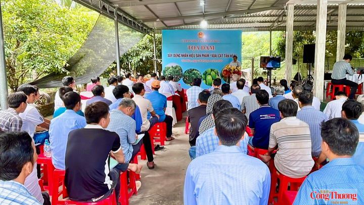 Quang cảnh tại toạ đàm.