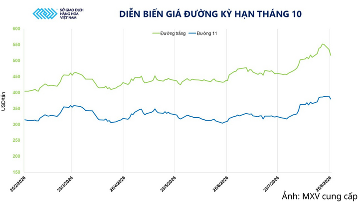 Diễn biến giá đường kỳ hạn tháng 10.