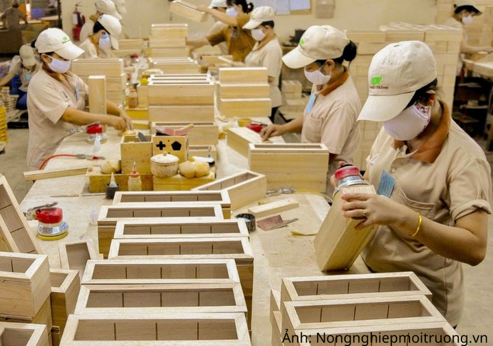 7 tháng đầu năm 2026, Canada là thị trường nhập khẩu gỗ lớn thứ 5 đối với gỗ Việt, với trị giá hơn 176 triệu USD.
