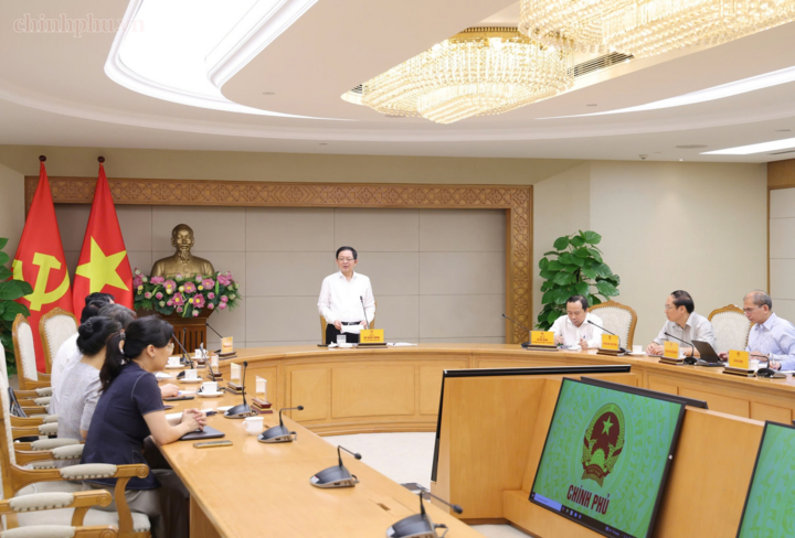 Phó Thủ tướng Hồ Quốc Dũng kết luận cuộc họp - Ảnh: chinhphu.vn/Gia Huy