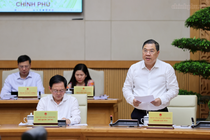 Phó Thủ tướng Thường trực Phạm Gia Túc phát biểu - Ảnh: chinhphu.vn/Nhật Bắc
