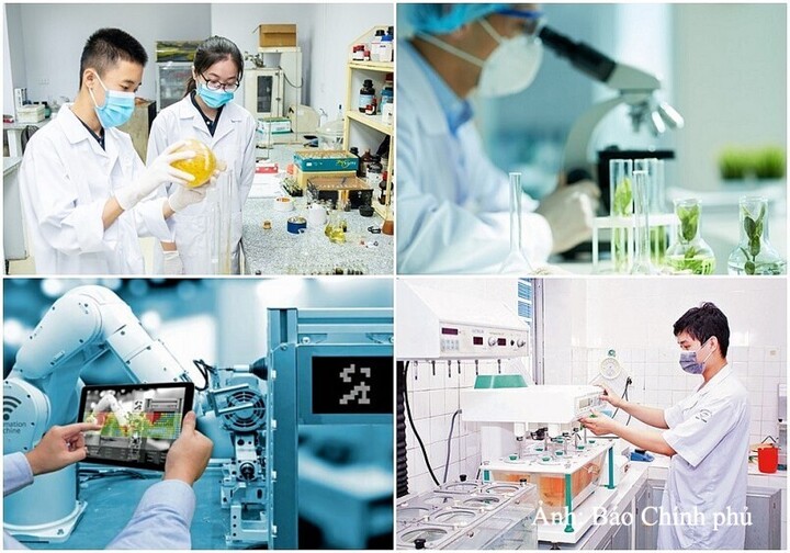 Thủ tướng Chính phủ Lê Minh Hưng vừa ký Quyết định về việc giải thể Hội đồng Quốc gia về Khoa học, Công nghệ và Đổi mới sáng tạo. Ảnh minh họa: Báo Chính phủ