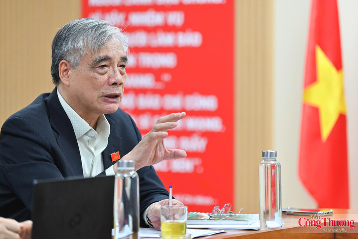 PGS.TS. Trần Đình Thiên - Chủ nhiệm Hội đồng Tư vấn về Kinh tế, Ủy ban Trung ương MTTQ Việt Nam, nguyên Viện trưởng Viện Kinh tế Việt Nam phát biểu tại cuộc họp.