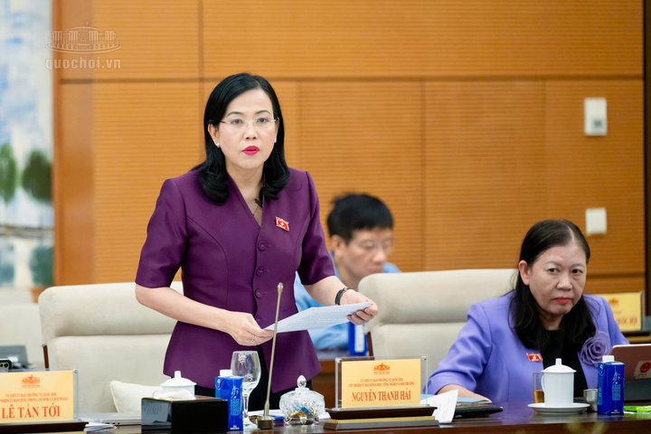 Chủ nhiệm Ủy ban Khoa học, Công nghệ và Môi trường  Nguyễn Thanh Hải góp ý hoàn thiện dự thảo Luật.
