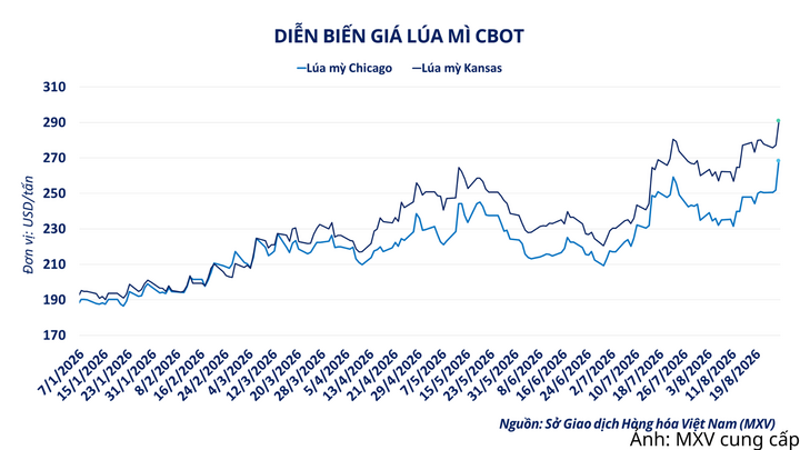 Diễn biến giá lúa mì CBOT