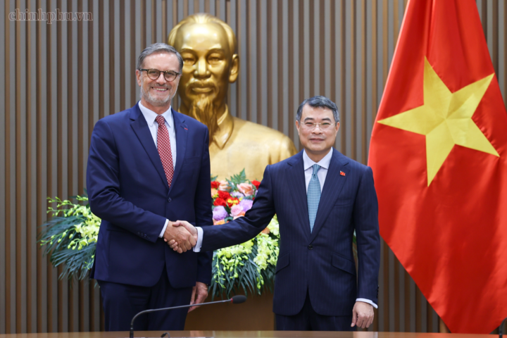 Thủ tướng Chính phủ Lê Minh Hưng tiếp Đại sứ Cộng hòa Pháp tại Việt Nam Olivier Brochet. Ảnh: chinhphu.vn/Nhật Bắc