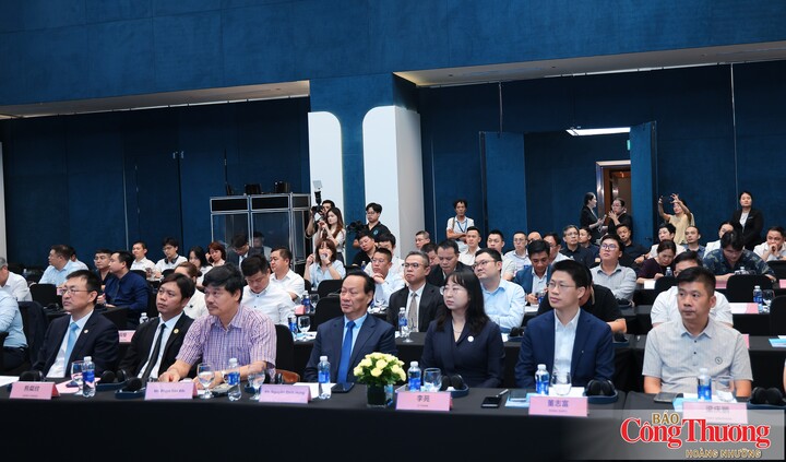 Các đại biểu tham dự hội nghị.