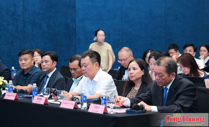 Các đại biểu tham dự hội nghị