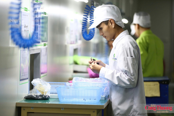 Dư địa cho xuất khẩu hàng công nghiệp chế tạo của Việt Nam sang Hà Lan còn lớn.