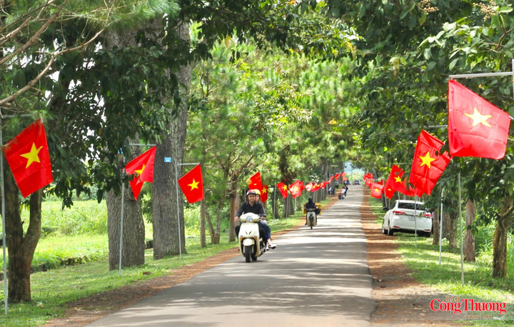 Trong những ngày tháng Tám và hướng tới Quốc khánh 2/9, sắc cờ nối dài trên những cung đường làm nổi bật tinh thần yêu nước.