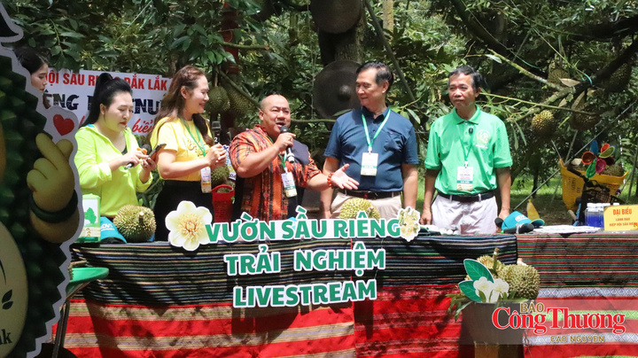 Lãnh đạo xã Ea Knuếc cùng các diễn viên, KOL livestream bán sầu riêng.