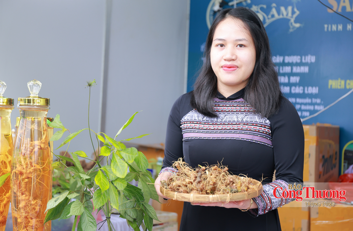 Bà Vũ Thị Quỳnh Như, Giám đốc Công ty TNHH Như sâm - Nam Trà My.