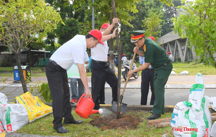 Trong khuôn khổ chương trình, QTSC trồng mới 234 cây xanh và cây kiểng tạo hình.