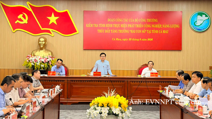 Thứ trưởng Bộ Công Thương Trương Thanh Hoài phát biểu kết luận tại buổi làm việc.