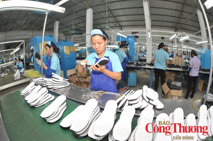 GoGlobal hướng tới cách làm có trọng tâm, lựa chọn doanh nghiệp, lĩnh vực và thị trường phù hợp để hỗ trợ doanh nghiệp Việt đi xa hơn.