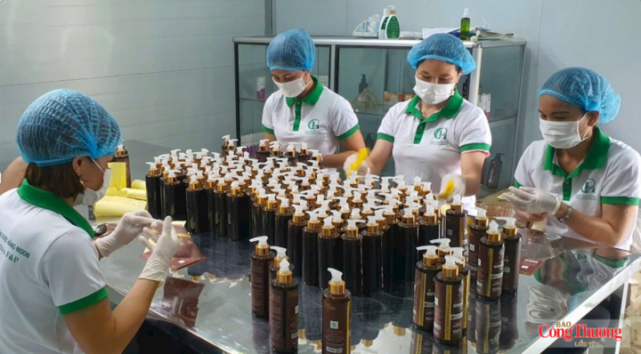 Nguồn vốn được đưa vào sản xuất kinh doanh sẽ tạo thêm dòng chảy trong cho nền kinh tế