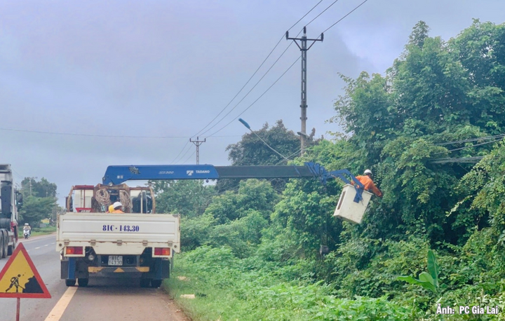 Phát quang hành lang tuyến, bảo đảm an toàn lưới điện.