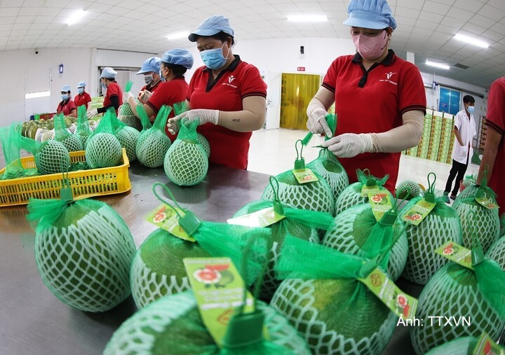 Hiệp định RCEP mở ra không gian thị trường rộng lớn và nhiều cơ hội mới cho thương mại, đầu tư, xuất khẩu hàng hóa của Việt Nam.