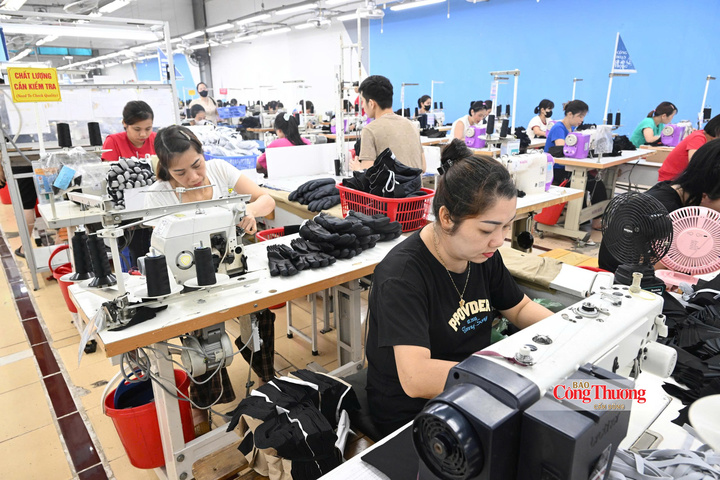Doanh nghiệp Việt Nam đang chủ động chuyển đổi xanh trong sản xuất nhằm tận dụng dư địa thị trường từ Hiệp định RCEP.