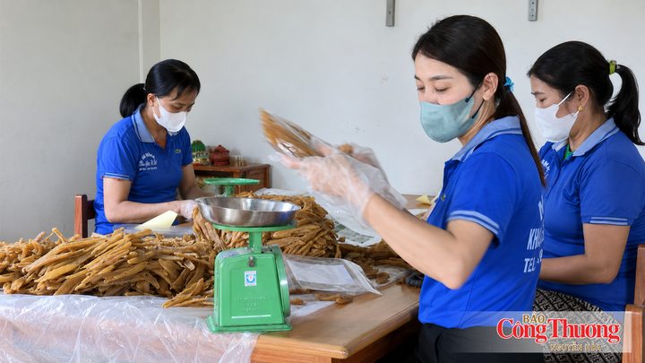 Các yếu tố về môi trường, lao động, quản trị, trách nhiệm xã hội và bình đẳng giới ngày càng được quan tâm tại doanh nghiệp.