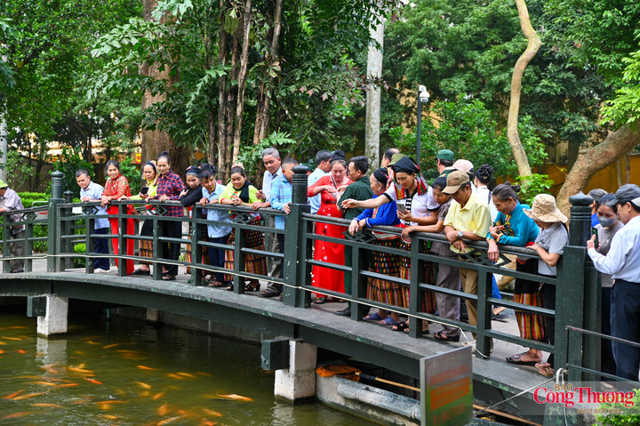 Người dân tham quan ao cá Bác Hồ.