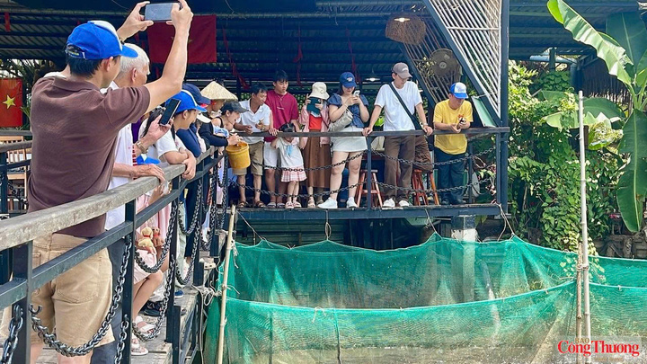 Kỳ nghỉ lễ Quốc khánh kéo dài 5 ngày tạo điều kiện thuận lợi để người dân, du khách lựa chọn các chuyến du lịch, trải nghiệm dài ngày tại Cồn Sơn.
