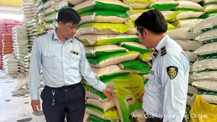 Lực lượng Quản lý thị trường tỉnh Cà Mau kiểm tra một cơ sở kinh doanh gạo trên địa bàn xã Cái Nước.