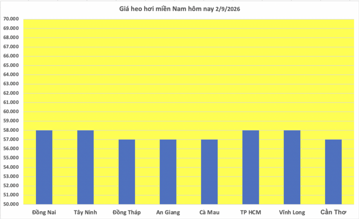 Giá heo hơi hôm nay 2/9/2026: Đi ngang trên cả nước - 3