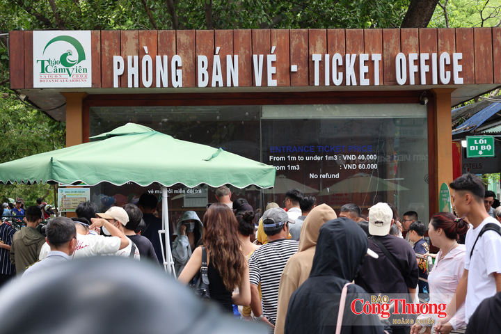 Khu vực bán vé luôn trong tình trạng đông đúc...