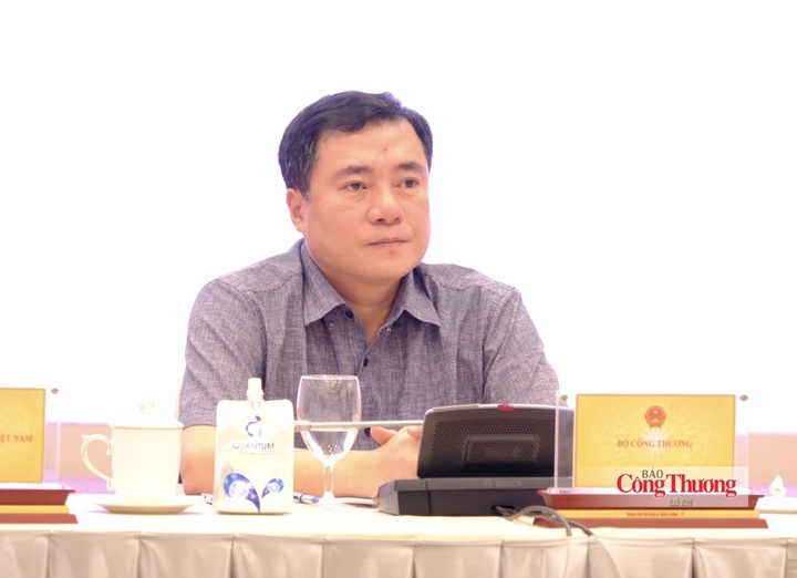 Thứ trưởng Bộ Công Thương Nguyễn Sinh Nhật Tân tham dự họp báo Chính phủ tháng 8. Ảnh: Lê An
