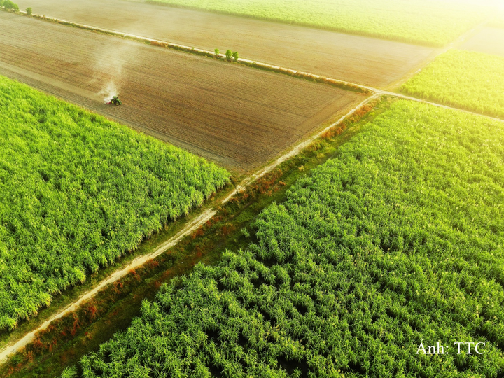 AgriS sở hữu vùng nguyên liệu gần 80.000 ha tại Việt Nam, Lào, Campuchia và Úc.