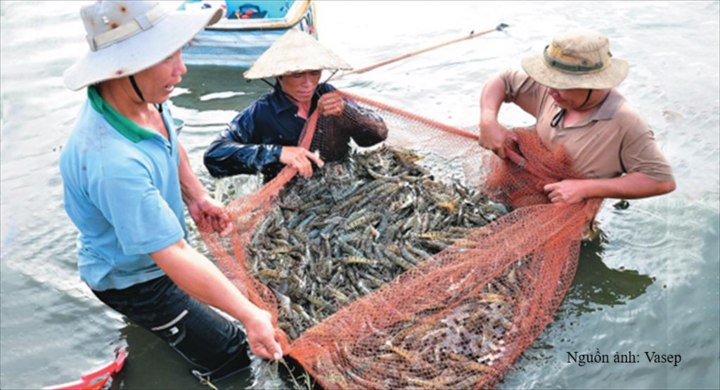 Sản lượng thủy sản 8 tháng năm 2026 ước đạt 6,95 triệu tấn, tăng 3,8%.