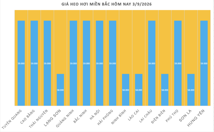 Giá heo hơi hôm nay 3/9/2026: Đi ngang sau kỳ nghỉ lễ - 1