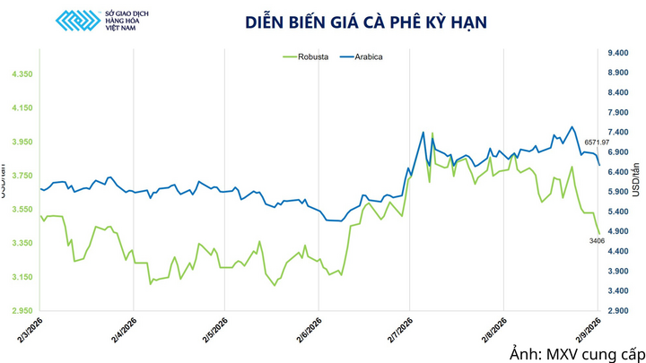 Diễn biến giá cà phê kỳ hạn.