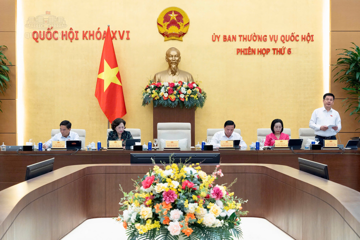 Phó Chủ tịch Quốc hội Nguyễn Hồng Diên phát biểu cho ý kiến.