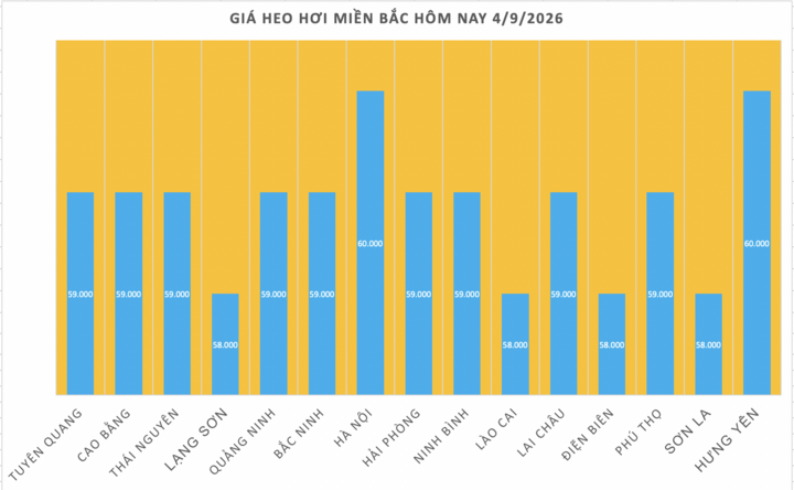Giá heo hơi hôm nay 4/9/2026: Đảo chiều tăng nhẹ ở miền Bắc, miền Nam - 1