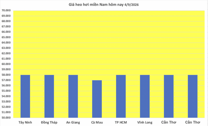 Giá heo hơi hôm nay 4/9/2026: Đảo chiều tăng nhẹ ở miền Bắc, miền Nam - 3