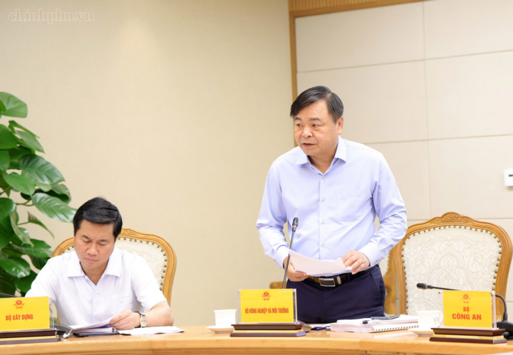 Thứ trưởng Bộ NN&MT Nguyễn Hoàng Hiệp phát biểu tại cuộc họp - Ảnh: chinhphu.vn/Gia Huy