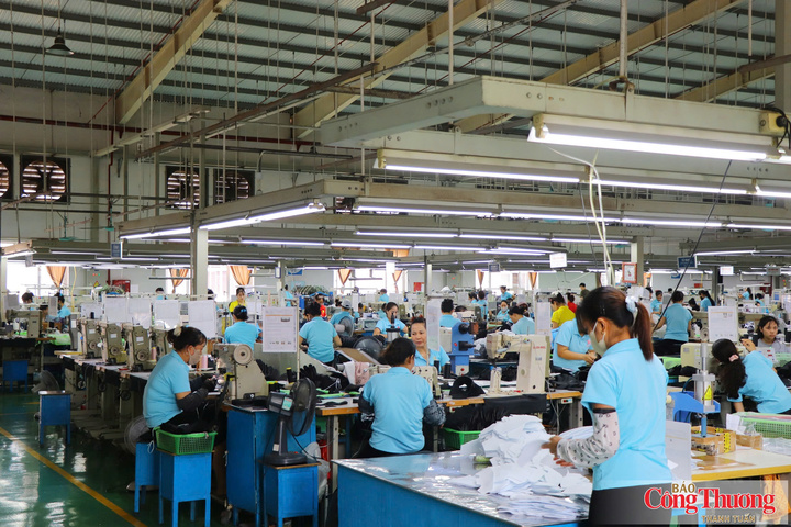 Từ đổi mới thiết bị đến tối ưu hệ thống năng lượng, tài chính xanh đang tạo thêm dư địa để doanh nghiệp nâng hiệu quả sản xuất và giảm chi phí vận hành.